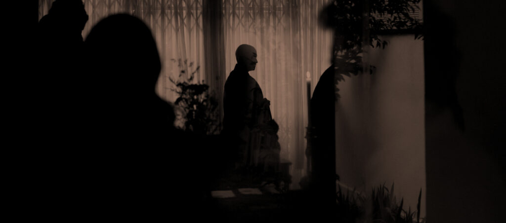Zendo Brasil
