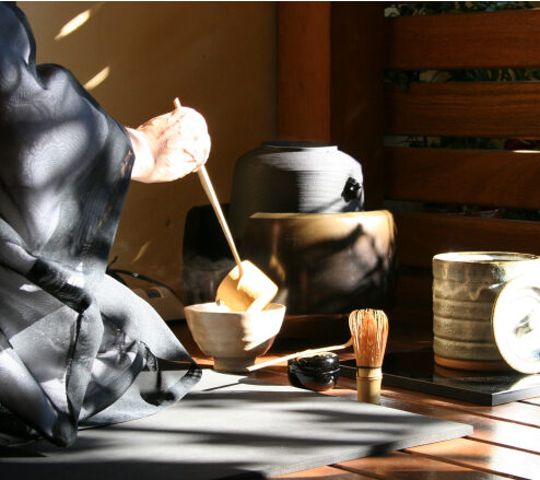 Zendo Brasil