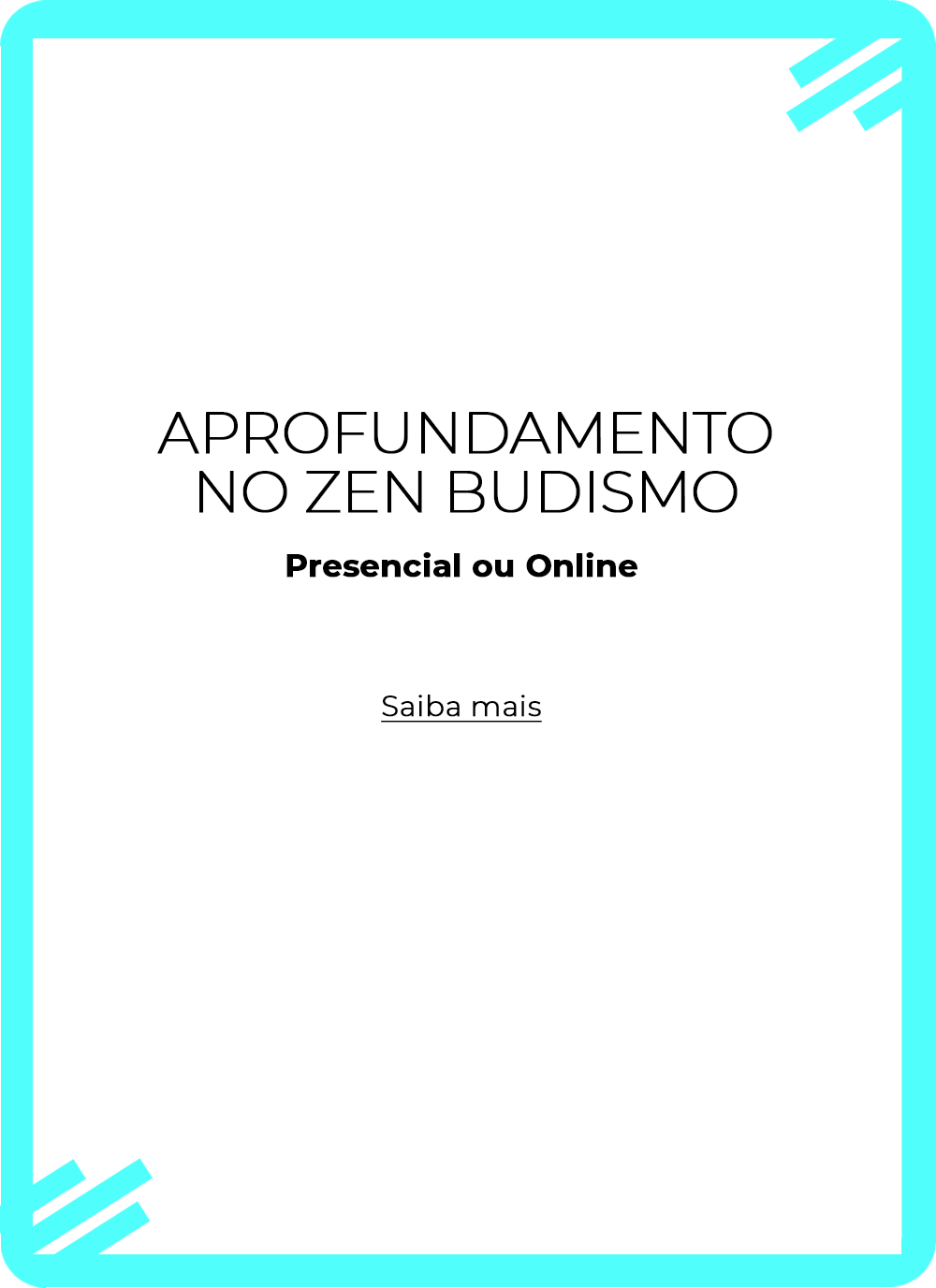 Zendo Brasil
