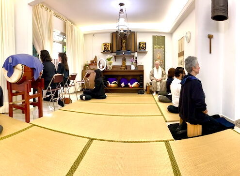 Zendo Brasil